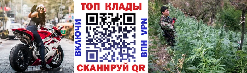 Купить Монино Псилоцибиновые грибы  Кокаин  Меф мяу мяу  Канабис  ссылка на мегу онион  АМФ 