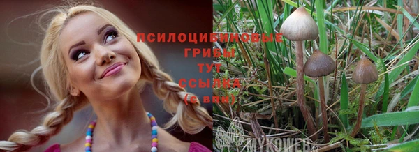 MESCALINE Белоозёрский